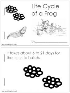 13 Frog Life Cycle Resources and Printables - Teach Junkie