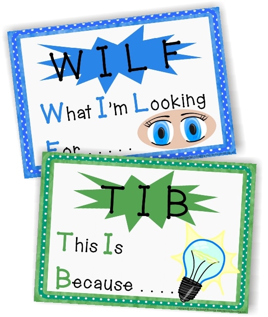 Teach Junkie: 2 Classroom Management Expectations Poster Sets