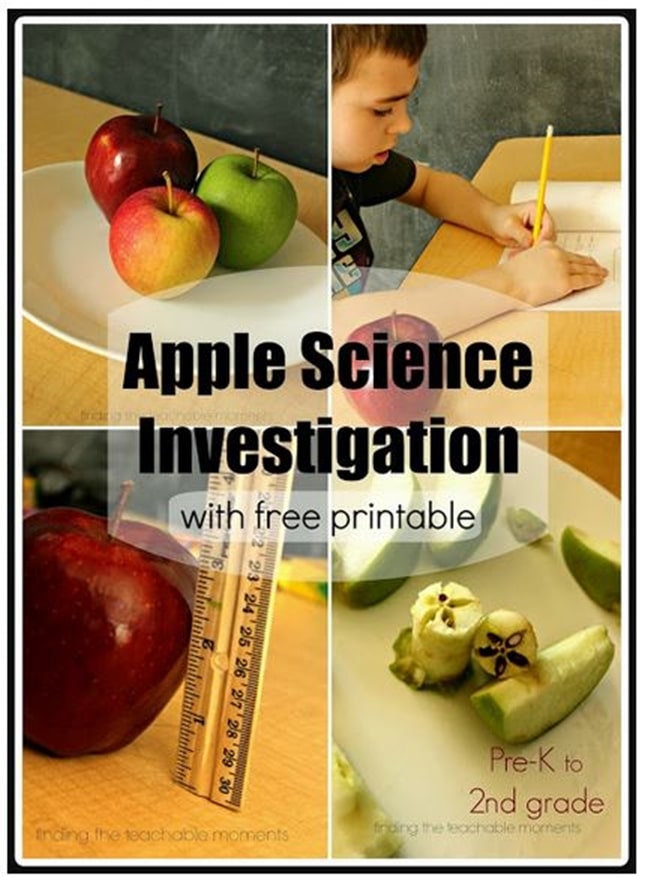 Free Apple Science Observation Worksheets - Teach Junkie