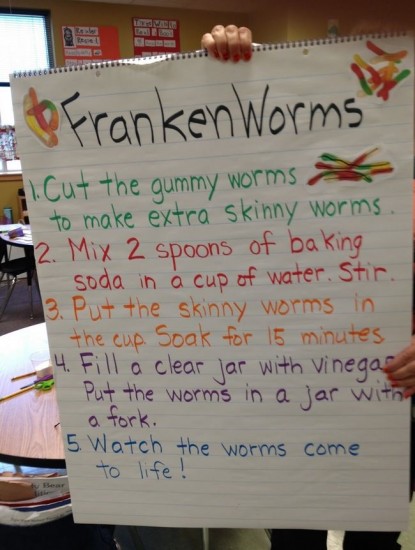 16 Classic And Creative Ways To Teach Worms - Teach Junkie